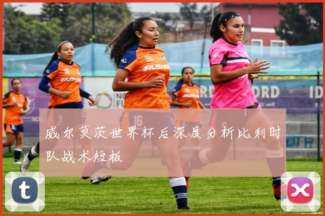 威尔莫茨世界杯后深度分析比利时队战术短板