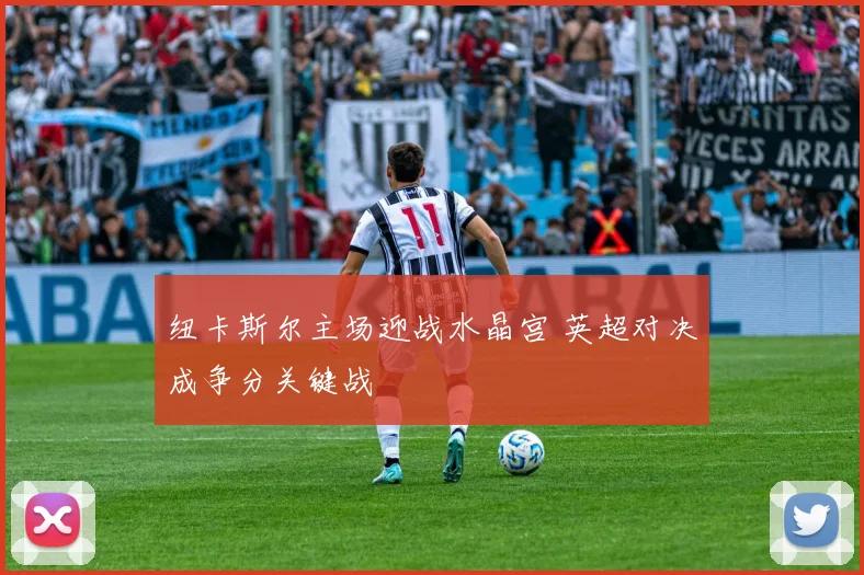 纽卡斯尔主场迎战水晶宫 英超对决成争分关键战