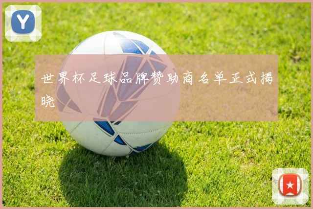 世界杯足球品牌赞助商名单正式揭晓