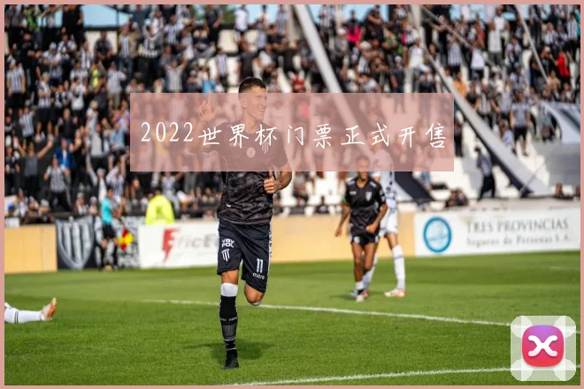 2022世界杯门票正式开售