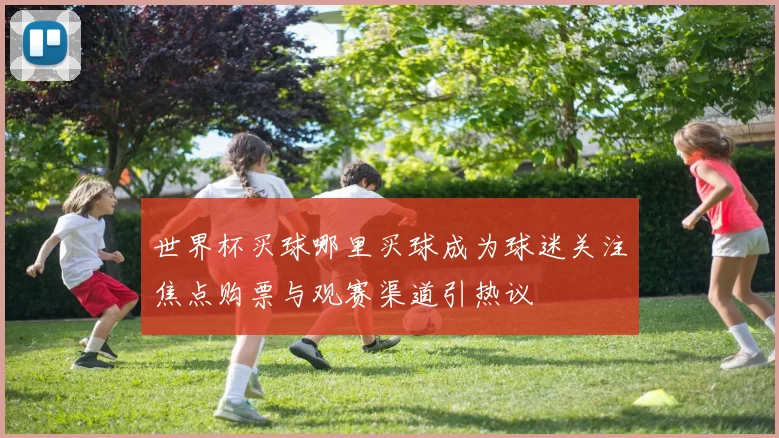 世界杯买球哪里买球成为球迷关注焦点购票与观赛渠道引热议