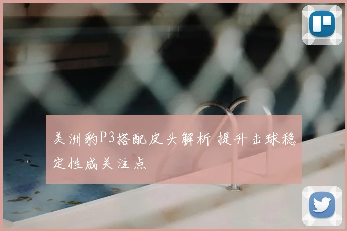 美洲豹P3搭配皮头解析 提升击球稳定性成关注点